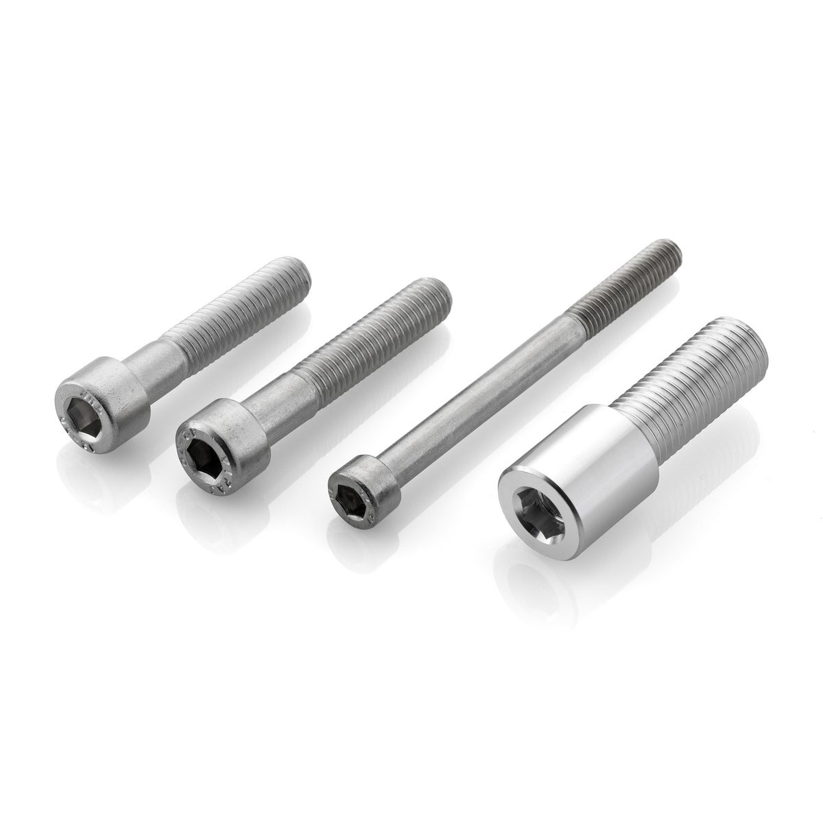 PROGUARD SYSTEM 與 Rizoma End Mount 後照鏡安裝套件